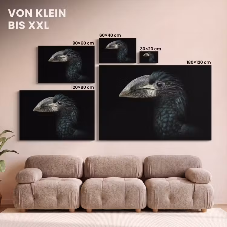 Vogel - Portret - Neushoornvogel - Zwart - Dieren canvas 2cm klein -Xsfeer8_DE