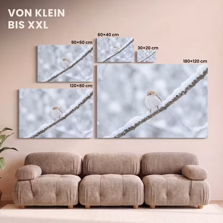Vogeltje - Sneeuw - Tak - Winter - Zacht canvas 2cm klein -Xsfeer8_DE