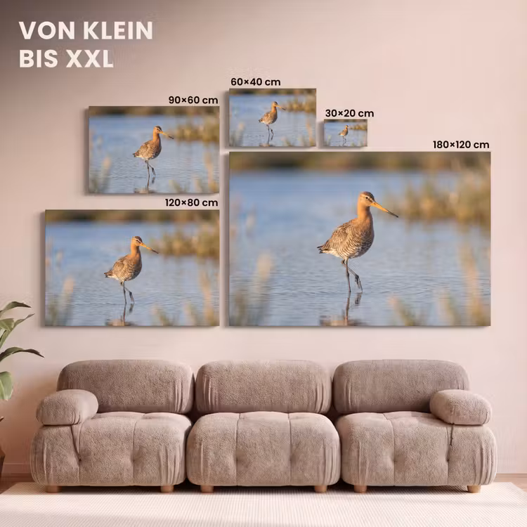Vogel - Steltloper - Water - Natuur canvas 2cm klein -Xsfeer8_DE