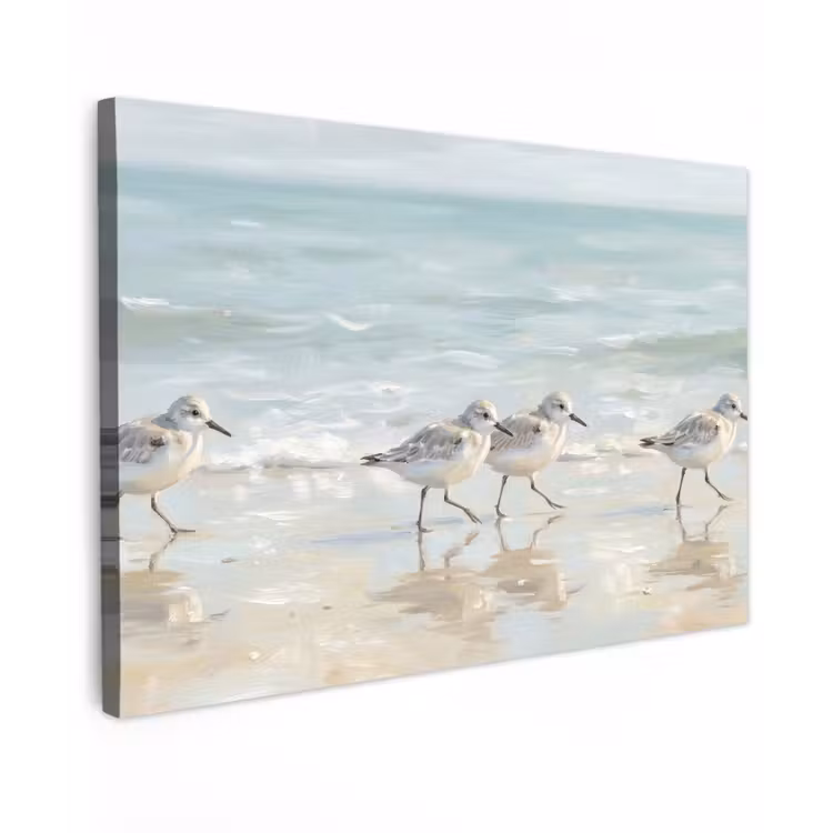 Vogels - Strand - Zee canvas 2cm klein -z3d
