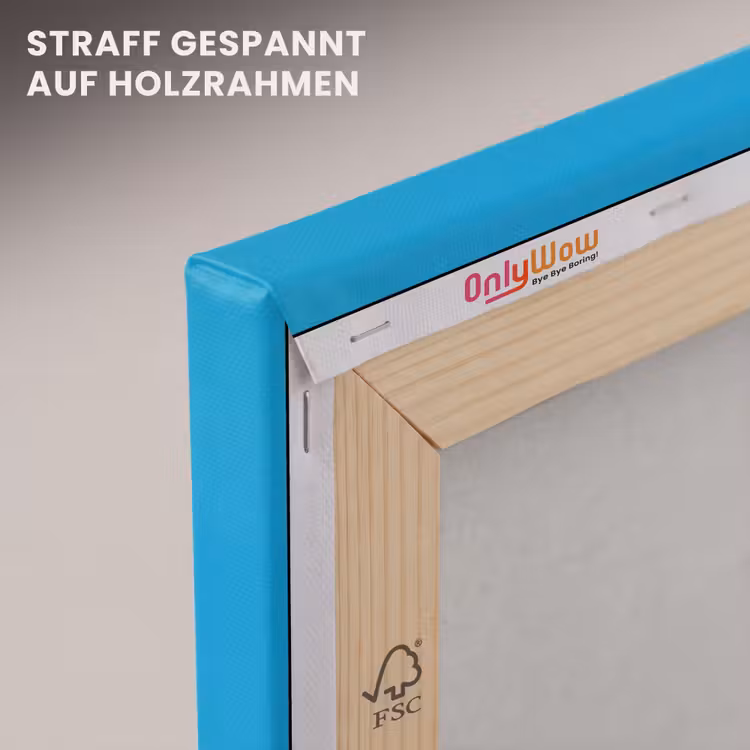 Vogel - Toekan - Blauw - Quotes canvas 2cm klein -uniquesellingpoint_afwerking-onlywow_DE