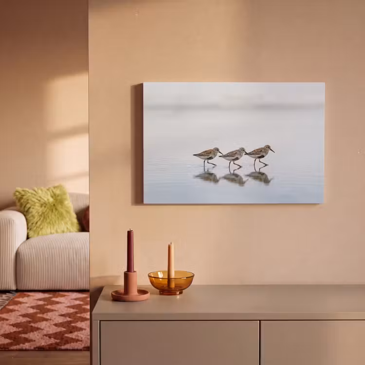 Vogels - Water - Grijs canvas 2cm klein -sfeer1