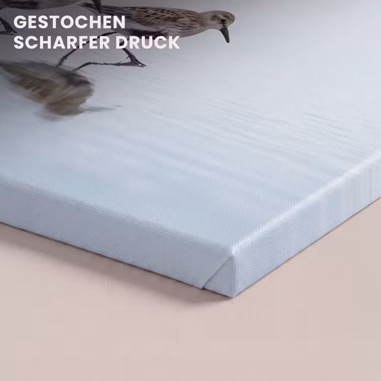 Vogels - Water - Grijs canvas 2cm klein -uniquesellingpoint_afwerking-onlywow_DE
