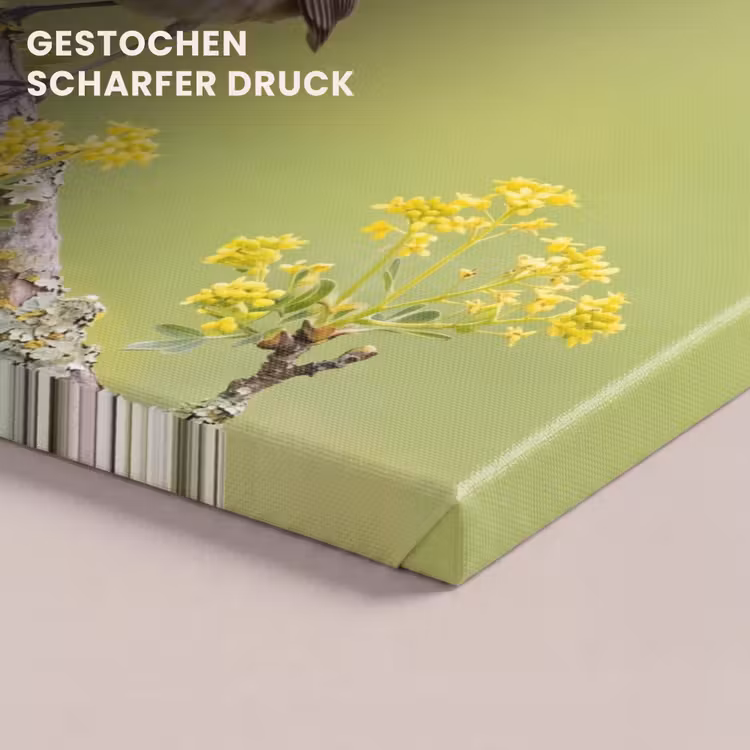 Vogel - Tak - Natuur - Kleurrijk canvas 2cm klein -uniquesellingpoint_afwerking-onlywow_DE