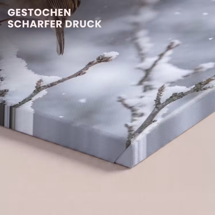 Vogel - Tak - Sneeuw - Winter canvas 2cm klein -closeup_print_DE