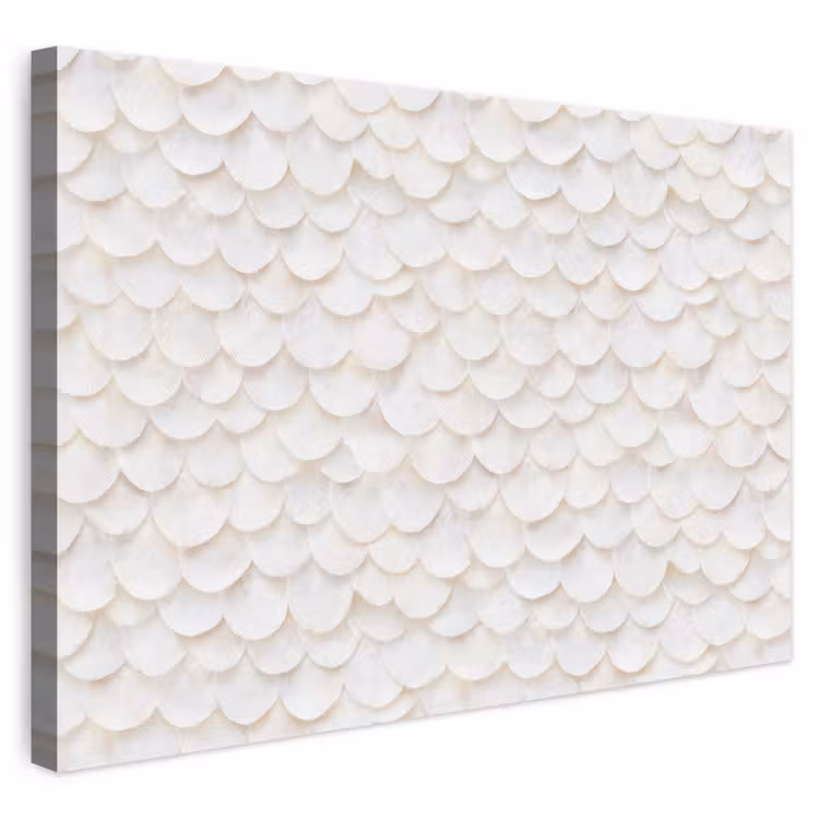 Schubben - Wit - Elegant canvas 2cm klein 34 -3d