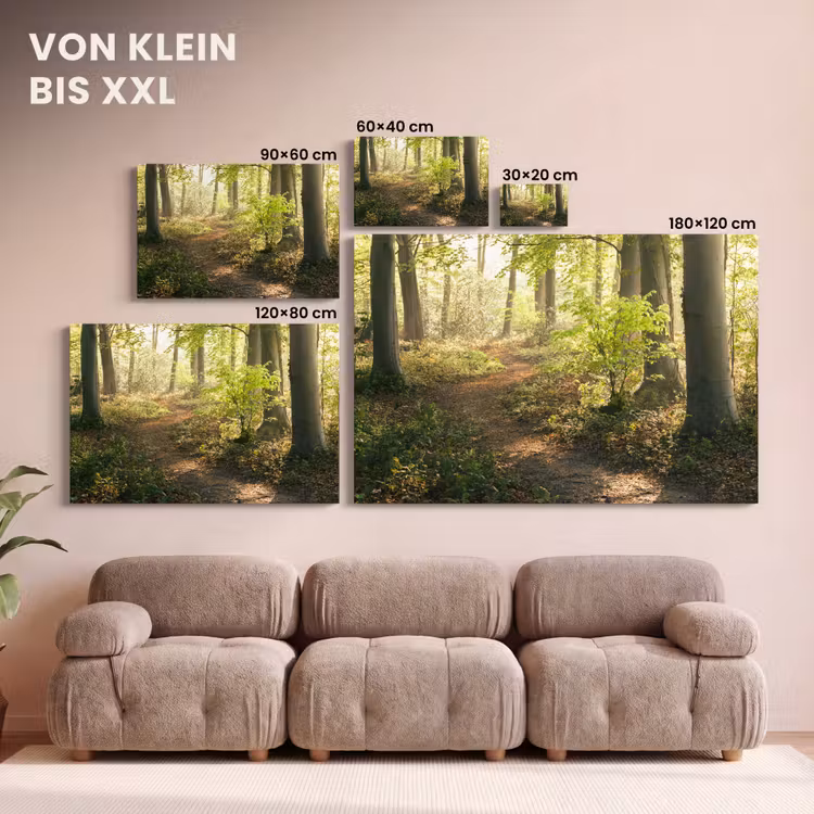 Bos - Bomen - Pad - Zon - Planten - Bladeren - Natuur canvas 2cm klein -Xsfeer8_DE