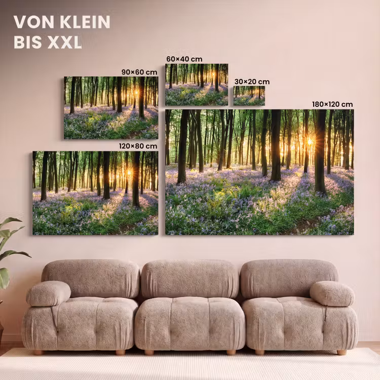 Bos - Bloemen - Lavendel - Zon - Paars - Natuur canvas 2cm klein -Xsfeer8_DE