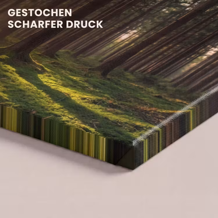 Bos - Gras - Zonlicht canvas 2cm klein -uniquesellingpoint_afwerking-onlywow_DE
