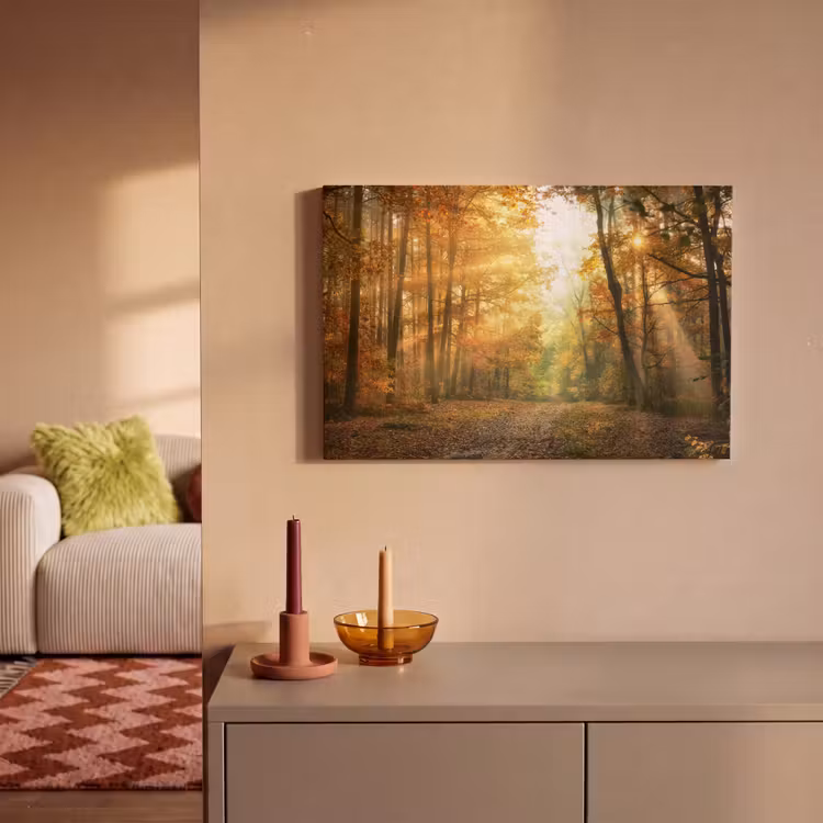 Bos - Herfst - Zon - Landschap - Natuur - Bomen - Bladeren canvas 2cm klein -sfeer1