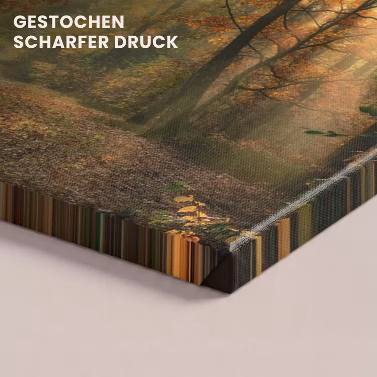 Bos - Herfst - Zon - Landschap - Natuur - Bomen - Bladeren canvas 2cm klein -closeup_print_DE