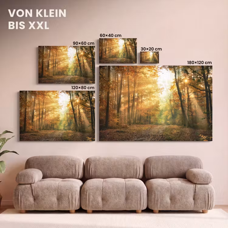 Bos - Herfst - Zon - Landschap - Natuur - Bomen - Bladeren canvas 2cm klein -Xsfeer8_DE