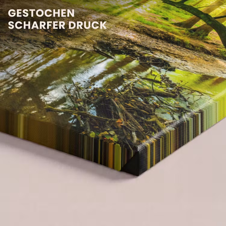Bos - Landschap - Water - Bomen - Zon - Groen - Natuur canvas 2cm klein -closeup_print_DE