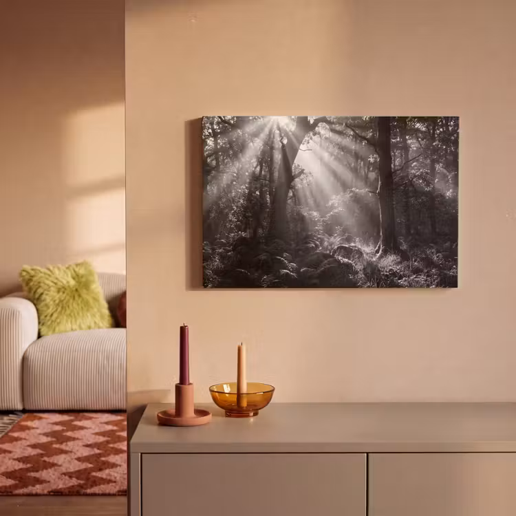 Bos - Lichtstralen - Natuur - Zwart-wit canvas 2cm klein -sfeer1