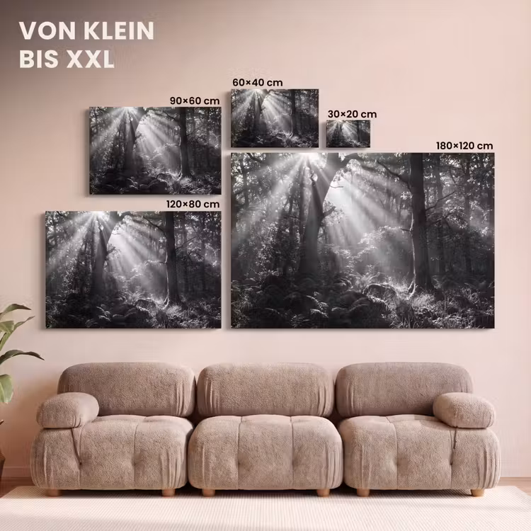 Bos - Lichtstralen - Natuur - Zwart-wit canvas 2cm klein -Xsfeer8_DE