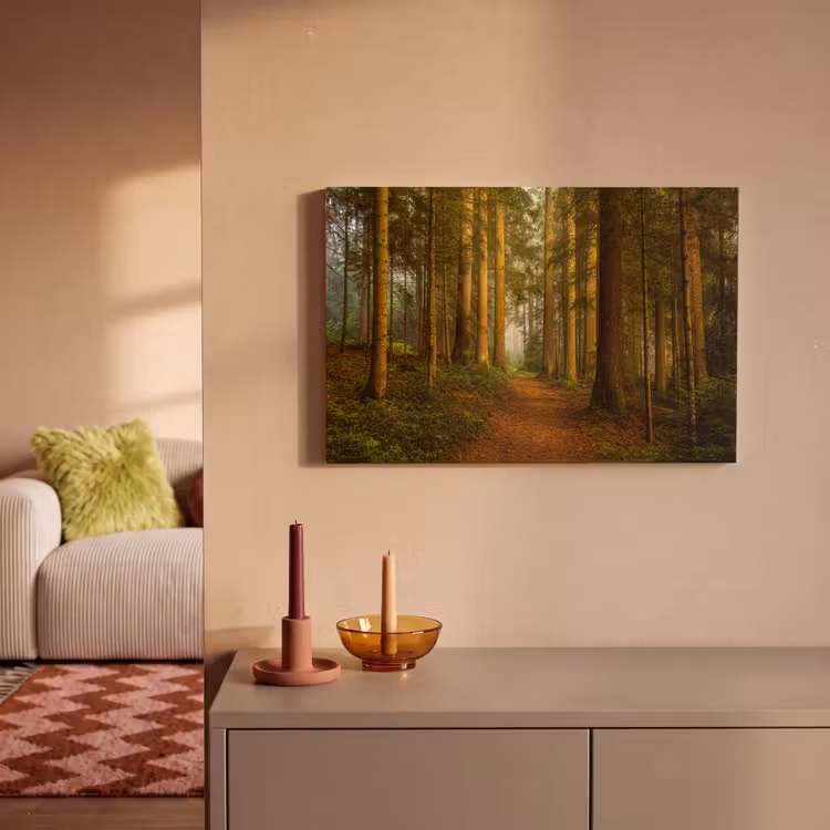 Bos - Natuur - Bomen - Landschap - Bladeren canvas 2cm klein -sfeer1