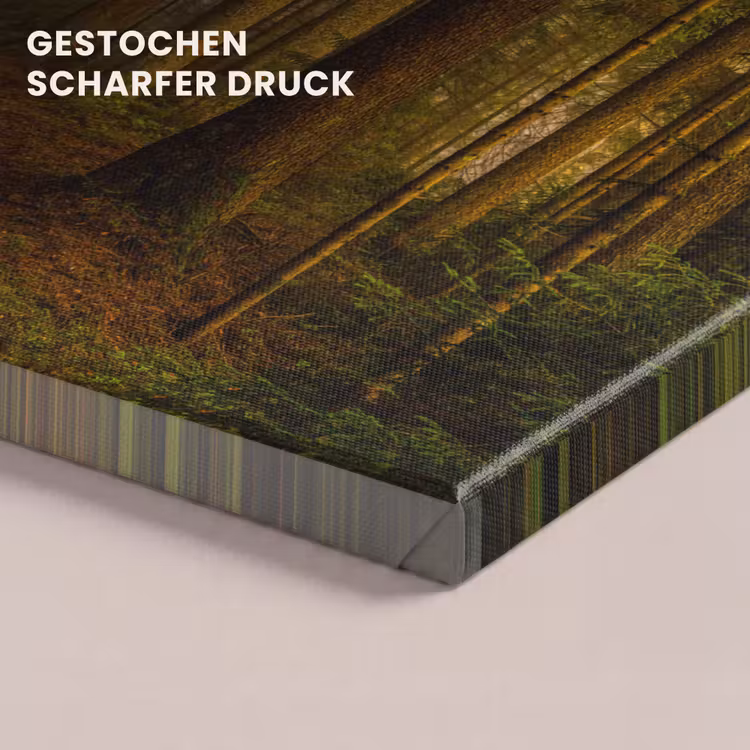 Bos - Natuur - Bomen - Landschap - Bladeren canvas 2cm klein -closeup_print_DE