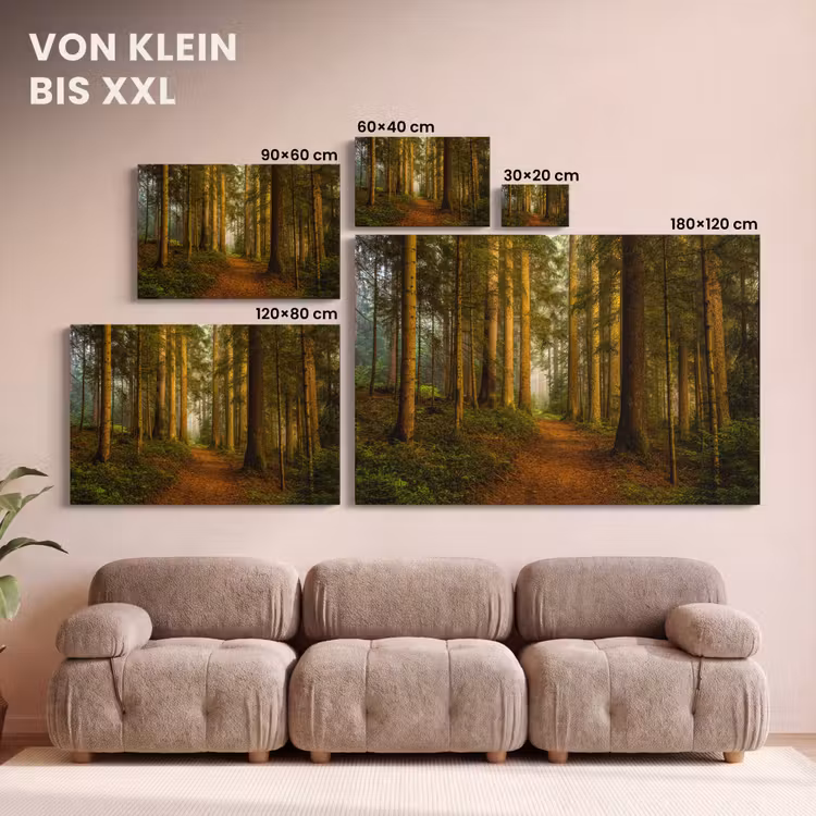 Bos - Natuur - Bomen - Landschap - Bladeren canvas 2cm klein -Xsfeer8_DE
