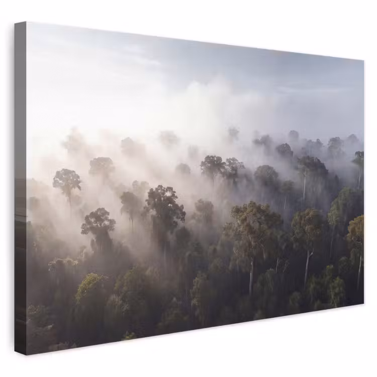 Bos - Mist - Natuur - Groen canvas 2cm klein -3d