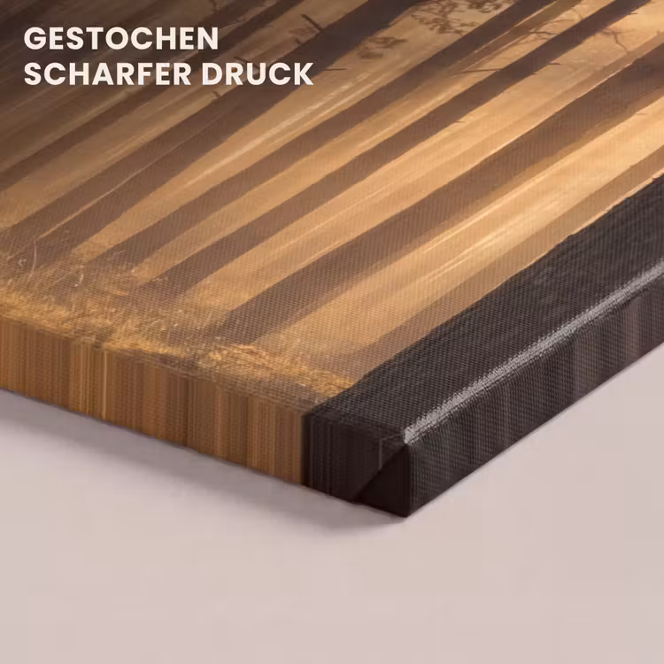 Bos - Mist - Zonlicht canvas 2cm klein -uniquesellingpoint_afwerking-onlywow_DE