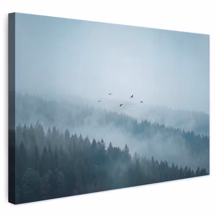 Bos - Mist - Vogels - Natuur - Groen canvas 2cm klein -3d