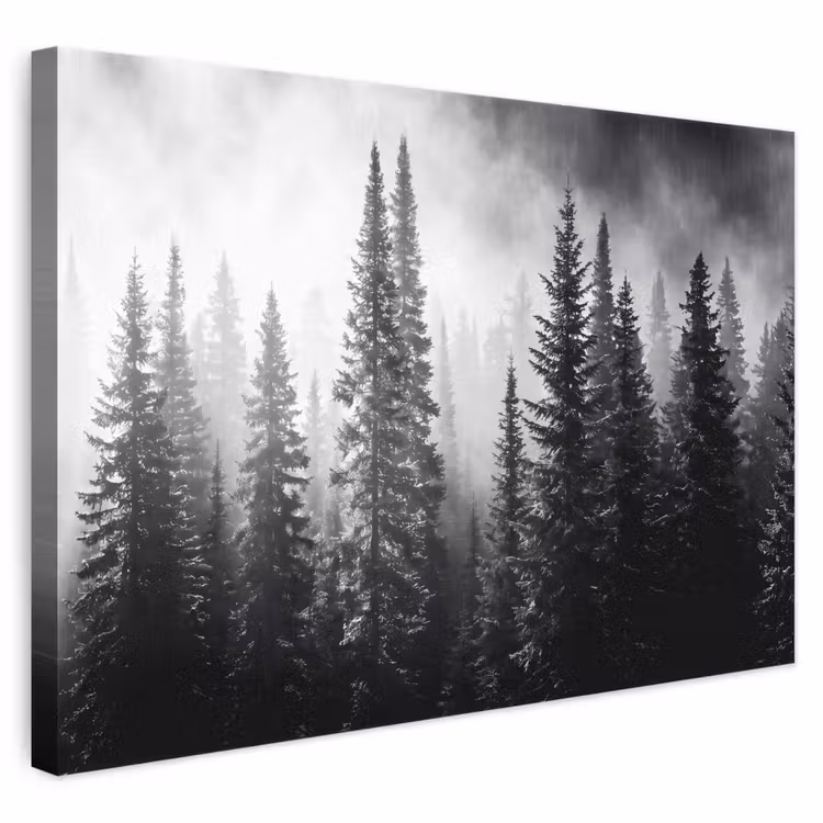 Bos - Mist - Winter - Monochroom - Natuur canvas 2cm klein -3d