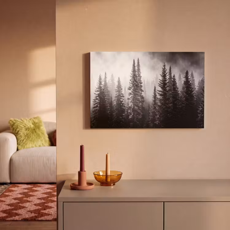 Bos - Mist - Winter - Monochroom - Natuur canvas 2cm klein -sfeer1