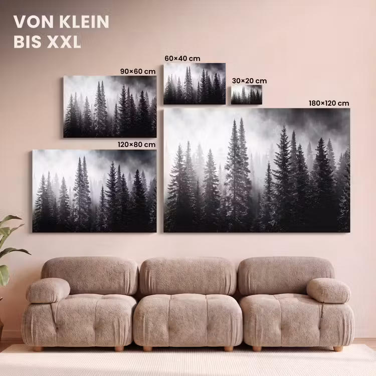 Bos - Mist - Winter - Monochroom - Natuur canvas 2cm klein -Xsfeer8_DE