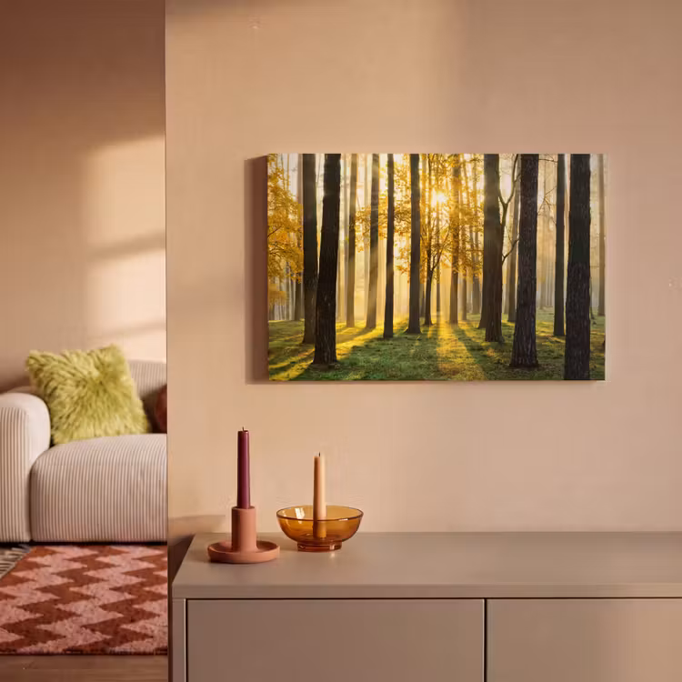 Bos - Zon - Bomen - Gras - Landschap - Natuur canvas 2cm klein -sfeer1