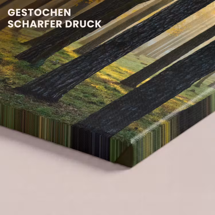 Bos - Zon - Bomen - Gras - Landschap - Natuur canvas 2cm klein -closeup_print_DE