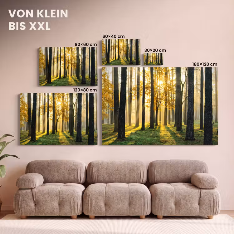 Bos - Zon - Bomen - Gras - Landschap - Natuur canvas 2cm klein -Xsfeer8_DE