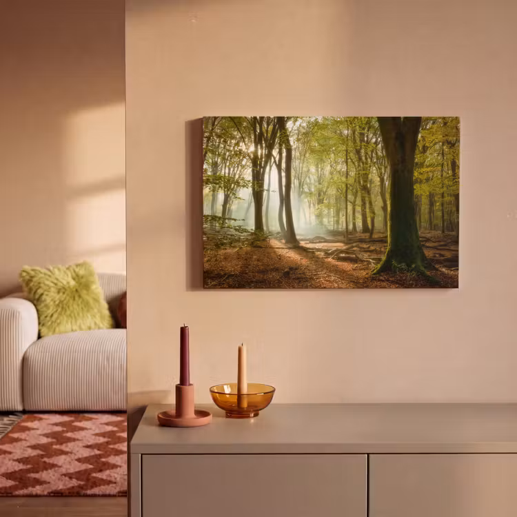 Bos - Zon - Seizoenen - Landschap canvas 2cm klein -sfeer1