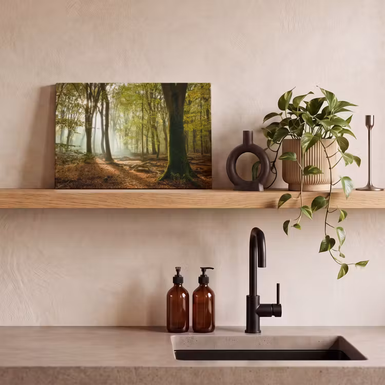 Bos - Zon - Seizoenen - Landschap canvas 2cm klein -sfeer6