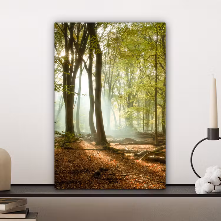 Bos - Zon - Seizoenen - Landschap canvas 2cm klein -closeup_print_DE