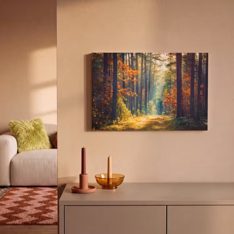 Wald - Sonne - Natur - Herbst canvas 2cm klein -sfeer1