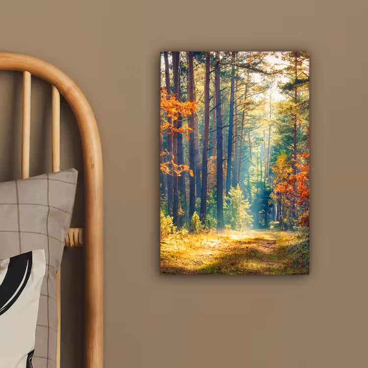Wald - Sonne - Natur - Herbst canvas 2cm klein -closeup_print_DE