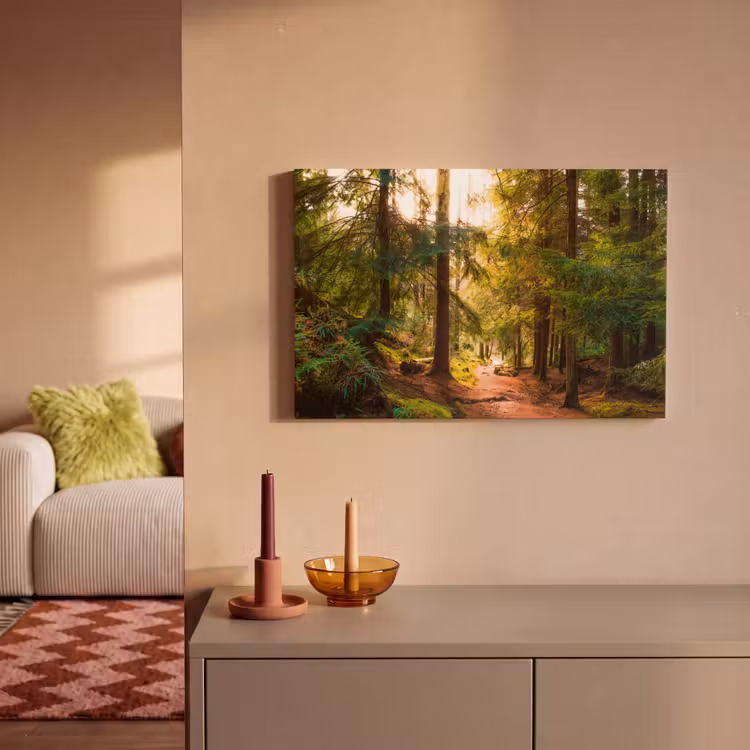 Bos - Pad - Bomen - Groen - Zon - Natuur canvas 2cm klein -sfeer1
