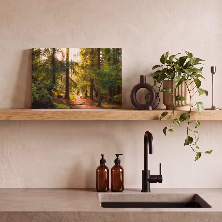 Bos - Pad - Bomen - Groen - Zon - Natuur canvas 2cm klein -sfeer3