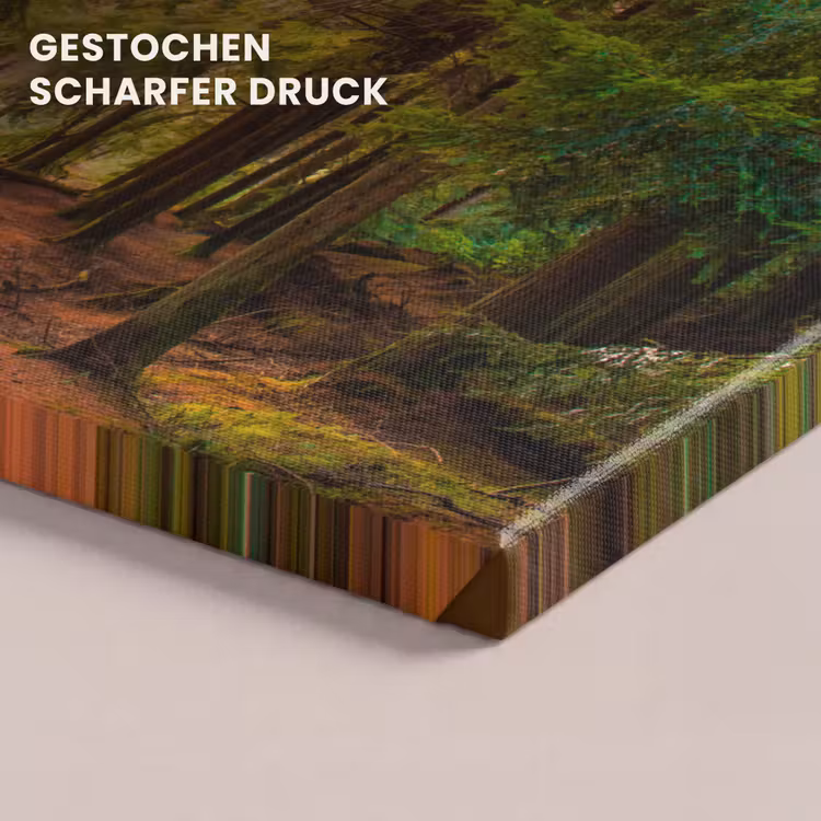 Bos - Pad - Bomen - Groen - Zon - Natuur canvas 2cm klein -closeup_print_DE
