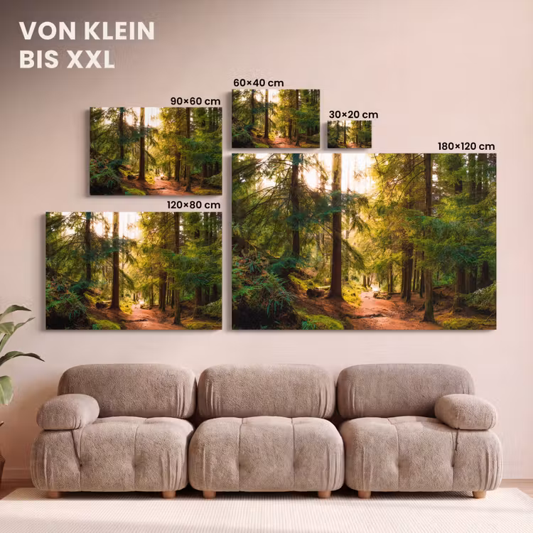 Bos - Pad - Bomen - Groen - Zon - Natuur canvas 2cm klein -Xsfeer8_DE