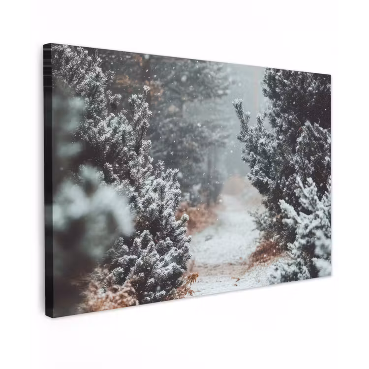 Bos - Winter - Bomen - Natuur - Pad - Sneeuw canvas 2cm klein -z3d