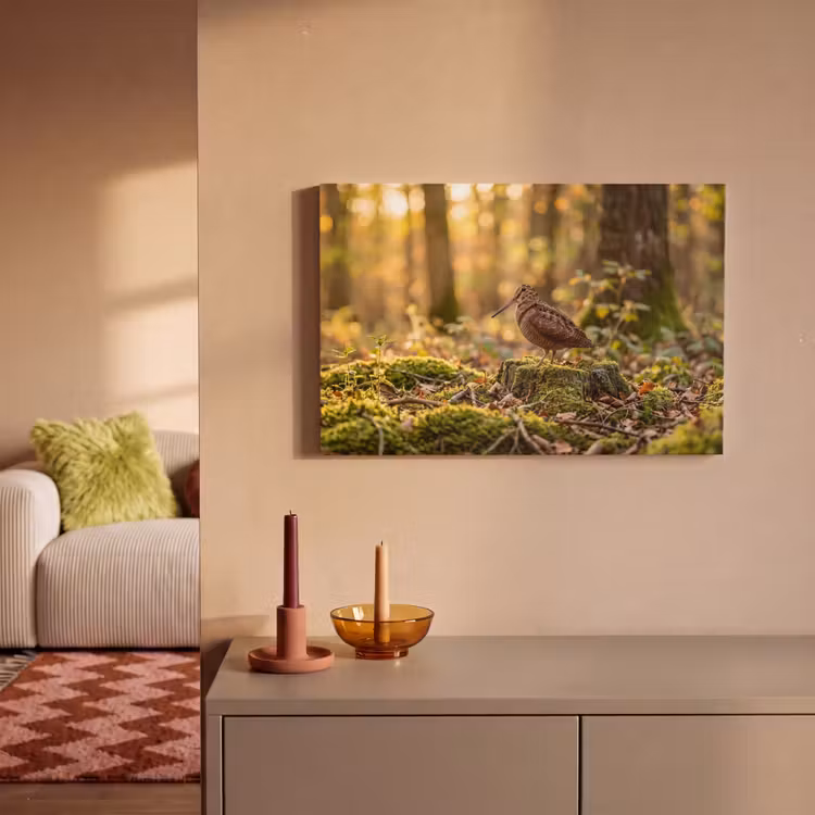 Houtsnip - Bos - Bladeren - Herfst - Gecamoufleerd canvas 2cm klein -sfeer1