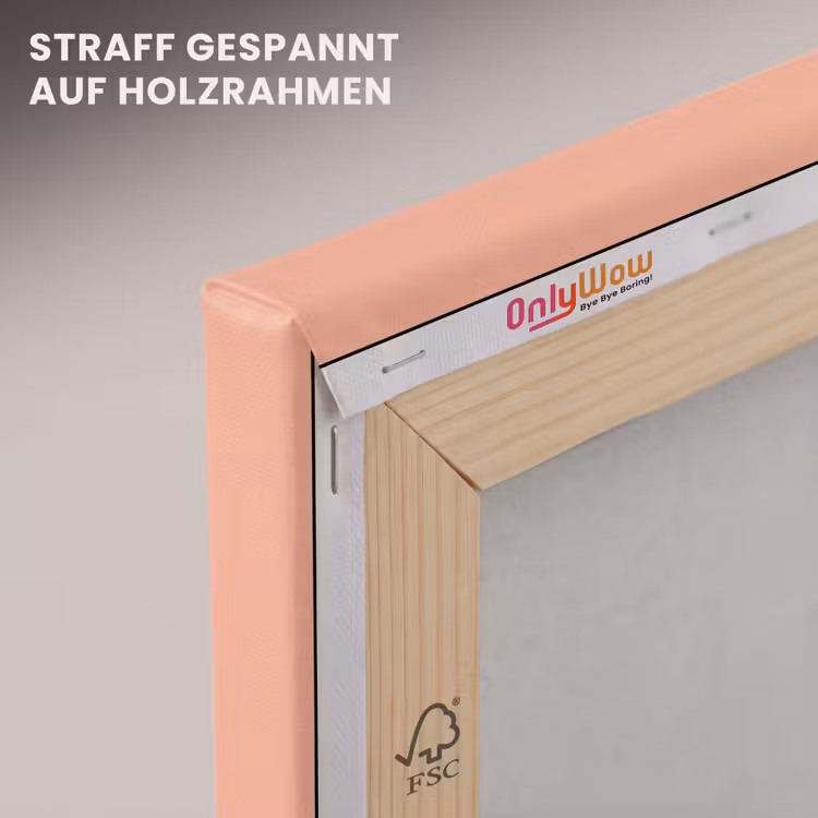 Waterijsje - Pasteltinten - Minimalistisch canvas 2cm klein -uniquesellingpoint_afwerking-onlywow_DE