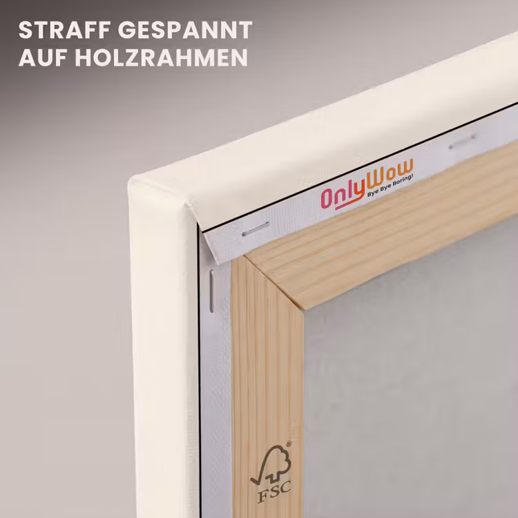 Waterijsje - Retro - Stokje - Roze canvas 2cm klein -uniquesellingpoint_afwerking-onlywow_DE