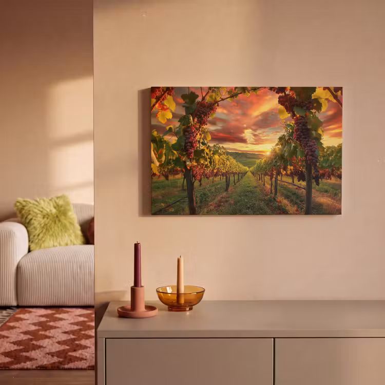 Wijngaard - Druiven - Zonsondergang canvas 2cm klein -sfeer1