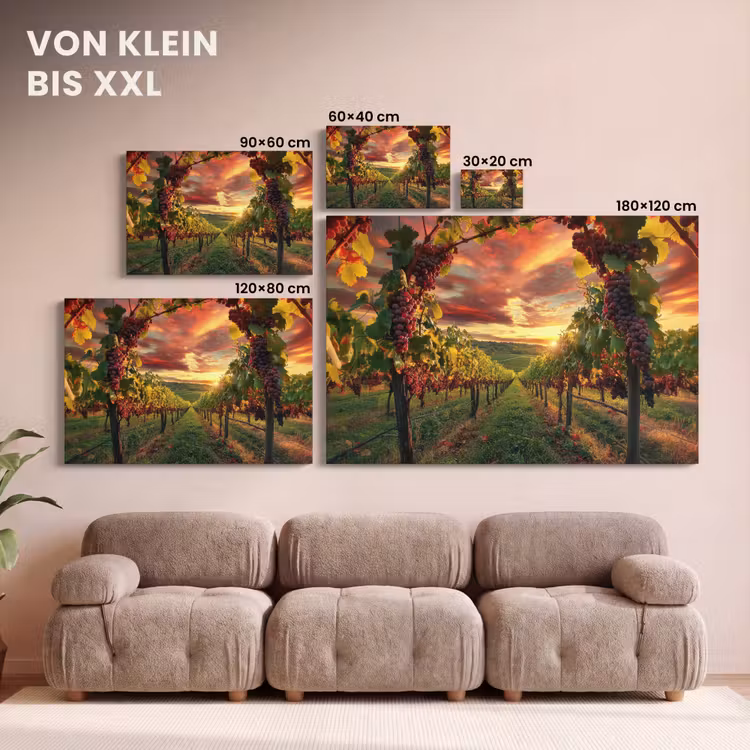 Wijngaard - Druiven - Zonsondergang canvas 2cm klein -Xsfeer8_DE