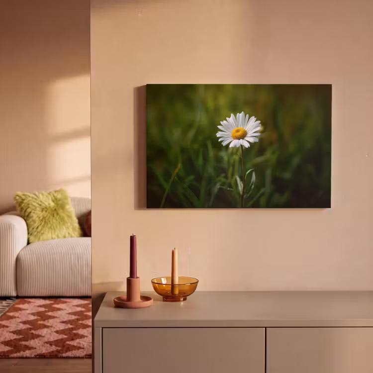 Wit - Madeliefje - Bloem - Gras canvas 2cm klein -sfeer1