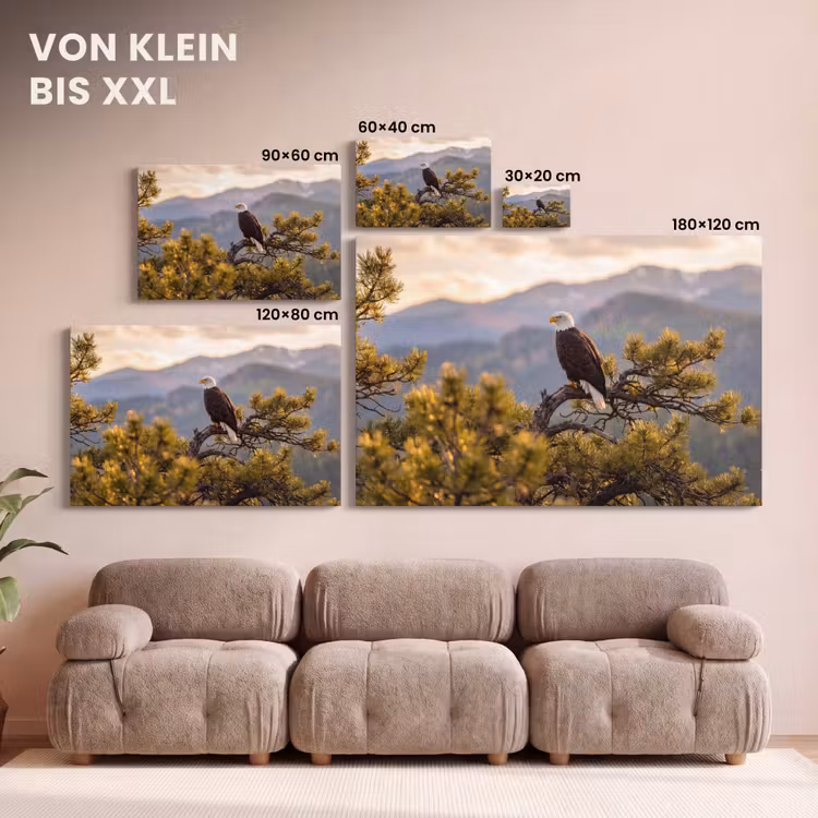 Zeearend - Boom - Bergen - Groen canvas 2cm klein -Xsfeer8_DE