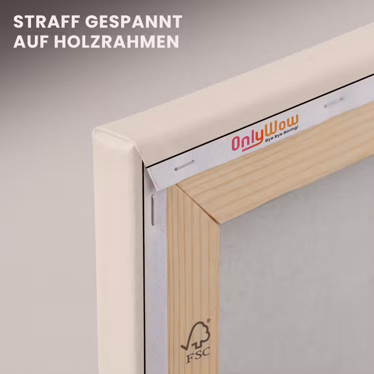 Wereldkaart - Simpel - Vliegtuig canvas 2cm klein -uniquesellingpoint_afwerking-onlywow_DE