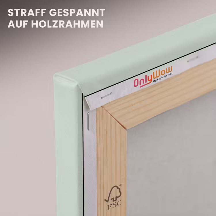 Wereldkaart - Realistisch - Kaart canvas 2cm klein -uniquesellingpoint_afwerking-onlywow_DE